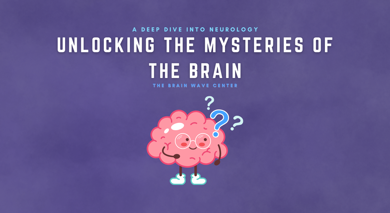 Unlock the brain's mysteries by exploring the anatomy of the brain, recent advances in brain health, brain-mapping, and neurofeedback at The Brain Wave Center